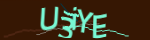 Enter the character string shown in the picture